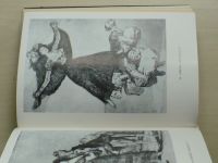 Feuchtwanger - Goya čili Trpká cesta k poznání (1973)