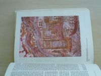Malinovi - Dvacet nejvýznamnějších archeologických objevů dvacátého století (1991)