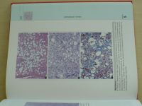 Damjanov - Atlas of Histopathology