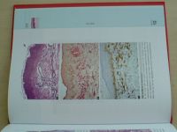 Damjanov - Atlas of Histopathology