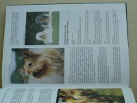Verhoef-Verhallen - Encyklopedie psů (1999)