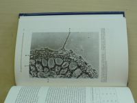 Kinzel - Pflanzen- ökologie und Mineral- stoffwechsel (1982)