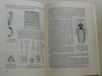Biologie živočišstva pro III. třídu gymnasií (1951)