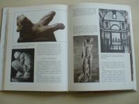 Nardini - Stretnutie s Michelangelom (1978) slovensky