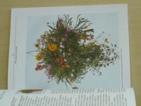 Weimar - Balkonové květiny v originálních závěsných nádobách (2000)