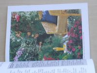 Weimar - Balkonové květiny v originálních závěsných nádobách (2000)