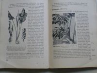 Řehák - Botanika pro vyšší třídy středních škol a učitelské ústavy (1947)