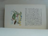 Lesní domky (Rukopis s ilustracemi) Ptačí příběhy