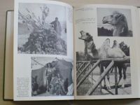 Obenberger - Zvířata a zvířátka (Orbis 1945)