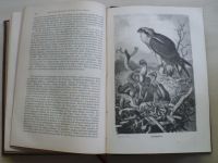 Brehm´s Thierleben. Dierter Band. (Leipzig 1878) Die Vögel - Ptáci