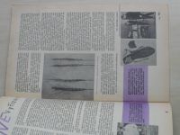 Věda a technika mládeži 21 (1967) ročník XXI.