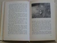 Šebela - Příběh jedné expedice (1968) Toulky přírodou