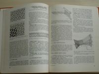 Strecký, Kadlecová - Bytové textílie (1987) vývoj, výroba, sortiment