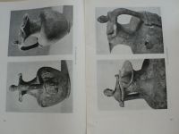 Památky archeologické číslo 2 ročník XLVI. 1955 - 100 let od založení