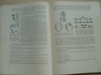 Památky archeologické číslo 2 ročník XLVIII. 1957