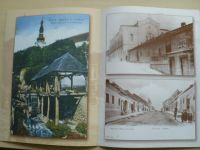 Staré Nové Mesto nad Váhom (slovensky) úvod Trstenský
