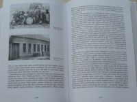 Velké Bílovice - dějiny jihomoravské obce (1995)