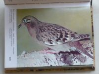 Veger - Kapesní atlas cizokrajných ptáků (1971)