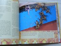 Souralová - Včelí domeček - prázdniny v úlu (2014)