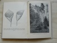 Dr. Procházka - Ochrana přírody a přírodních památek I. II: (1926,7) kresby Židlický, fotografie