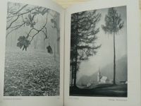 Landschaftsphoto - Schwarzweiss und Farbig (Wien 1941)