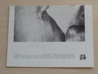 Program č. 3 - Zpráva o chirurgii města N. (1981-82)