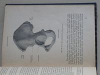 Borovanský - Anatomie - Učební text pro zdravotnické školy (1954)