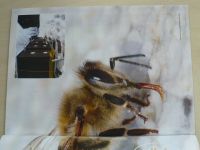 Včelařství 1-12 (2016) ročník LXIX. (chybí čísla 1, 3-5, 8 čísel)