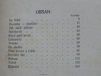 Romanovská - Na Sibíř (1916) Knihovna Lidového deníku