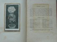 Mikeš - Chrysanthemum - Racionelní kultura 3/1922 Vaněk Chrudim