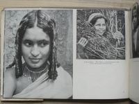 INDIA - A Pictorial Survey - Government of India, Kanpur 1954