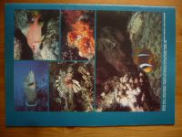 Vodní revue - Potápěč 1-6 (1990) ročník XXVII. (chybí čísla 1-2, 4 čísla)
