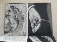 Staněk - Ungiftige schlangen (1962)