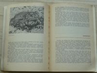 Čihař - Obojživelníci a plazi - Katalog k expozici zoologického odd. Národního muzea v Praze (1973)