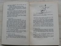 Zadák - Základy lyžařství (Svaz lyžařů RČS 1937)