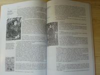 Blažke - Kouzelné zrcadlo literatury - Od nejstarších písemných památek k osvícenství (1)