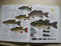 Velká obrazová encyklopedie rybaření (2005)