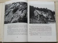 Runkovič - Kapitoly o prírode a kvetoch (1982) slovensky