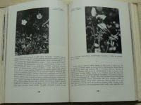 Runkovič - Kapitoly o prírode a kvetoch (1982) slovensky