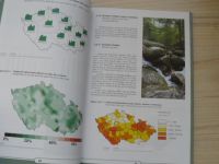 Správa o stavu lesa a lesního hospodářství České republiky- stav k 31.12.2003 (2004)