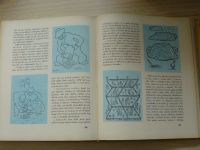 Nový zlatý věnec (SNDK 1967) Antologie české literatury pro mládež z doby mezi dvěma sv. válkami