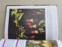 Fotografický atlas - Skalická - Pokojové rostliny (1998)