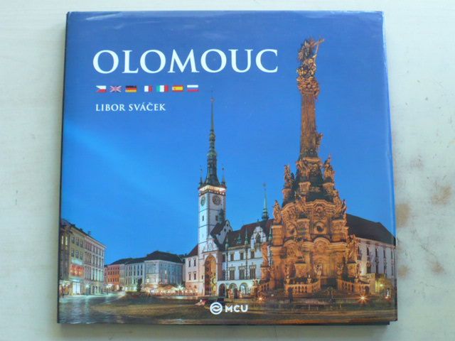 Sváček - Olomouc (2013)