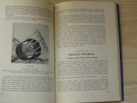 Němec - Základy radiotechniky (1938)