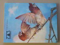 Podpěra - Chováme exotické ptactvo (1979)