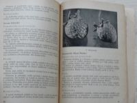 Peiker, Starý - Pěstování jahodníku (1956)