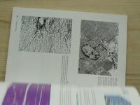 Junqueira, Carneiro - Basic Histology - Text & atlas (2005) + CD-ROM