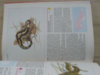 Červená Kniha 2 ohrožených a vzácných druhů rostlin a živočichů ČSSR (1990) Kruhoústí, ryby, obojživelníci, plazi, savci