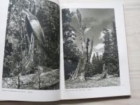 Janda, Jandová - Naše pralesy (1953)
