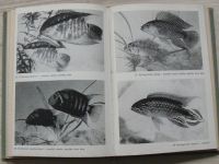 Zukal - Akvarijní ryby (1964)